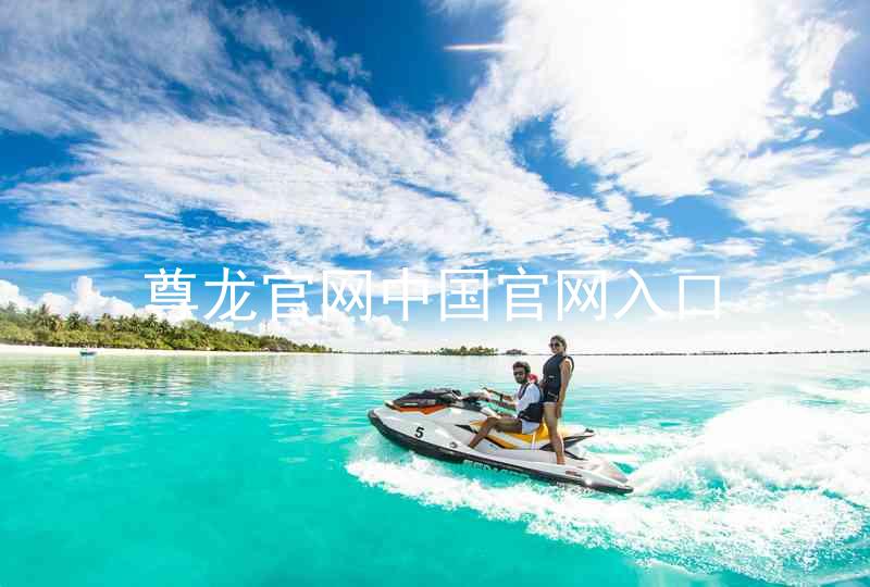 尊龙官网中国官网入口