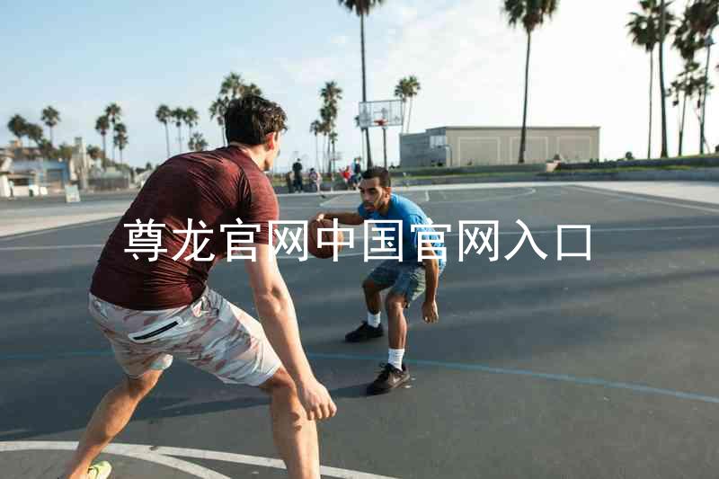 尊龙官网中国官网入口