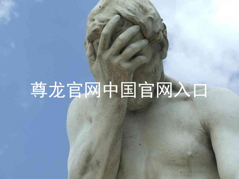 尊龙官网中国官网入口
