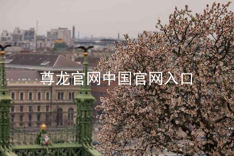 尊龙官网中国官网入口