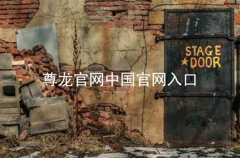 尊龙官网中国官网入口